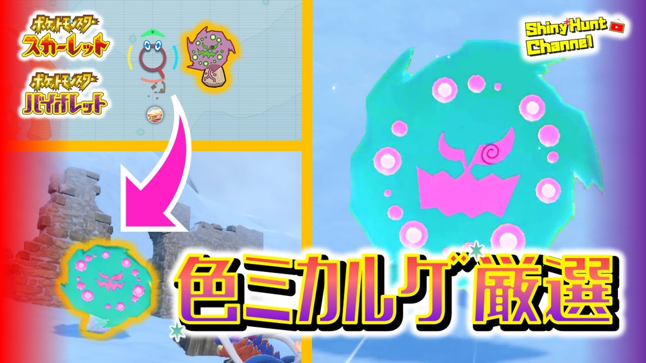 【🔴ポケモンSV】ミカルゲ色違い厳選_20230128