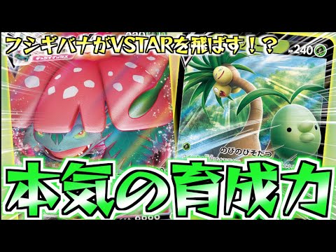 【ポケカ】後①で５エネ加速！？このアローラナッシーはガチで強い【アロナシ＋フシギバナ】