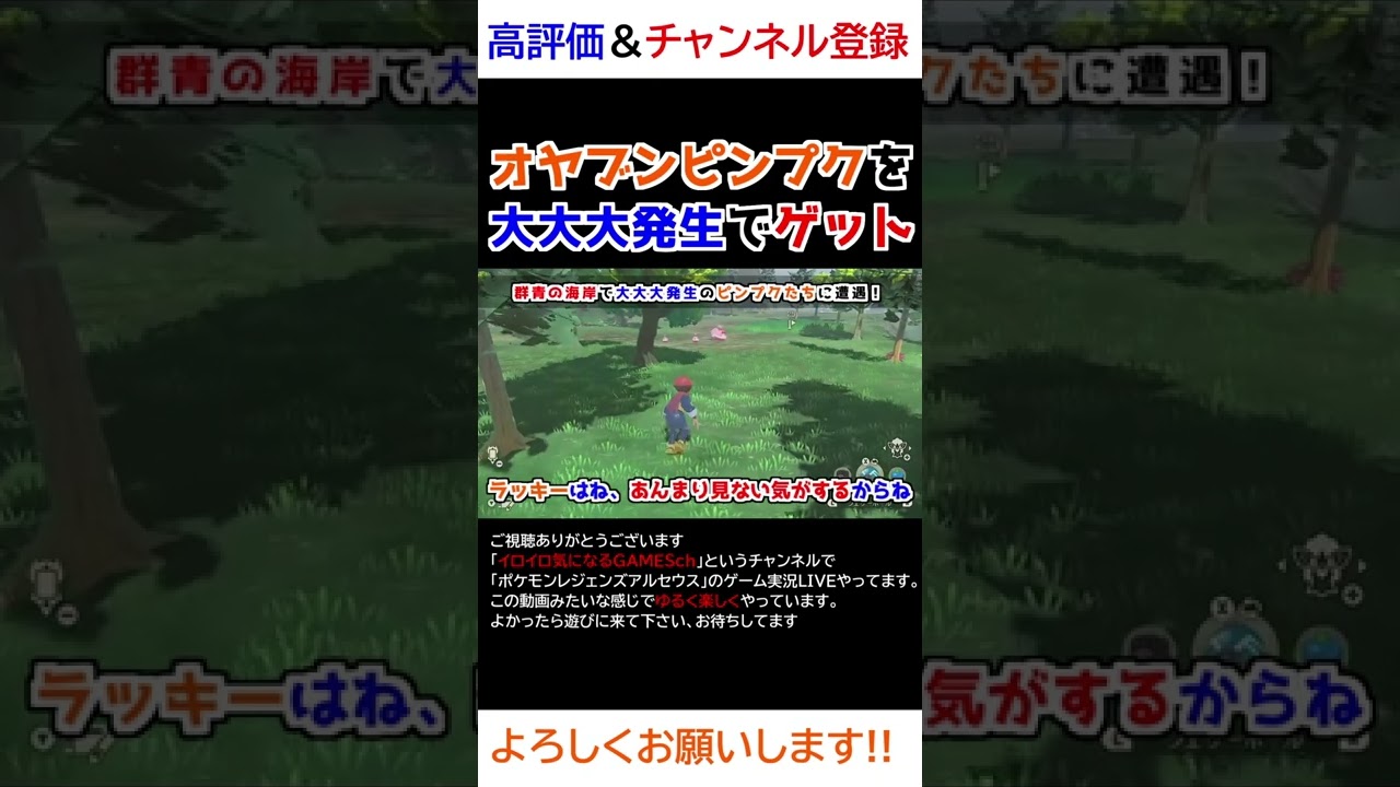 オヤブンピンプクを捕獲する！【Pokémon LEGENDS アルセウス】