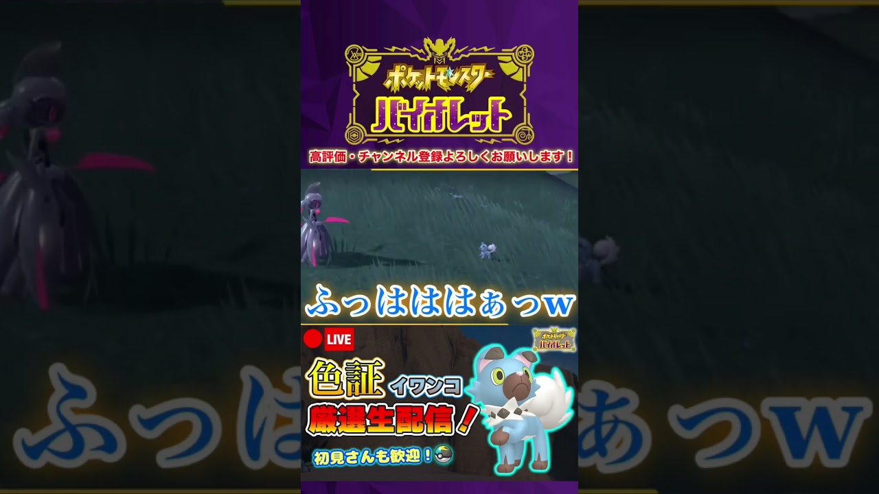 【ポケモンSV】前方不注意で色違いイワンコにぶつかった男 #shorts