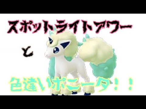 6/1のスポットライトアワーの結果！（イシズマイが図鑑に登録された記念）