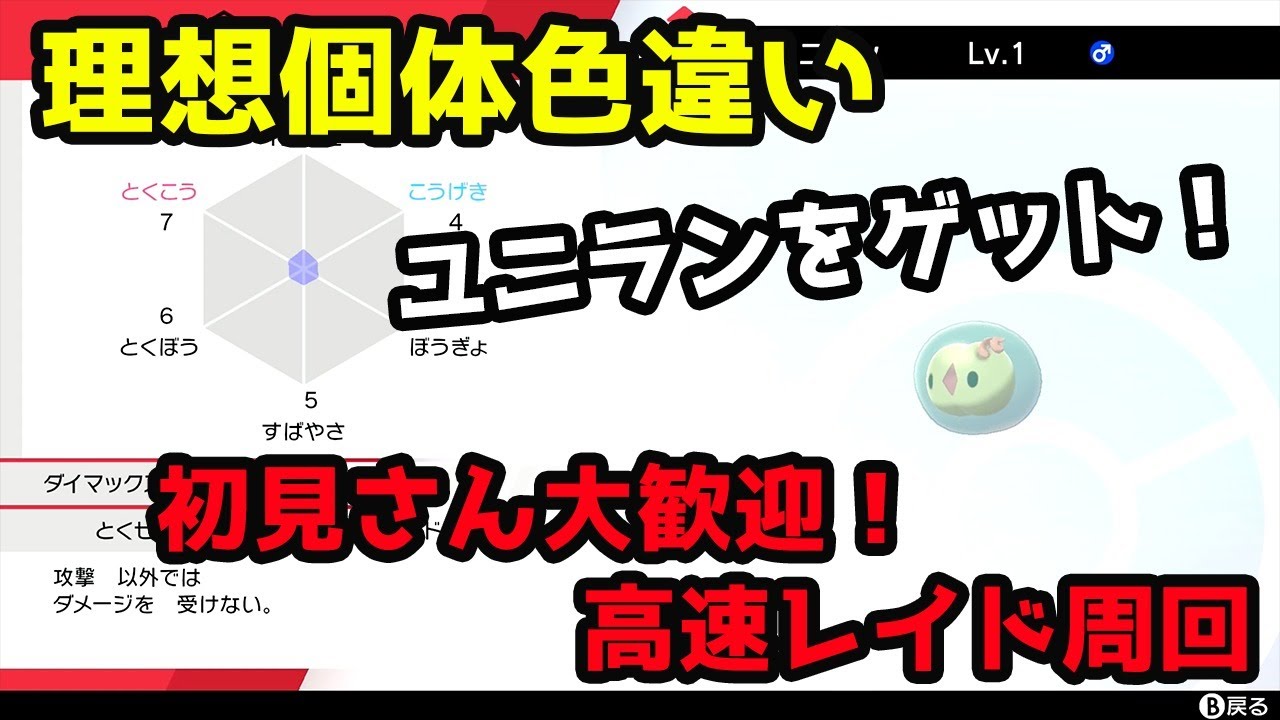 理想個体色違いユニランをゲットしました！　ランクバトル　レイド周回　雑談　ライブ配信【ポケモン剣盾】pokemon sword shield