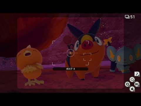 Newポケモンスナップ　★2ポカブ【5370】