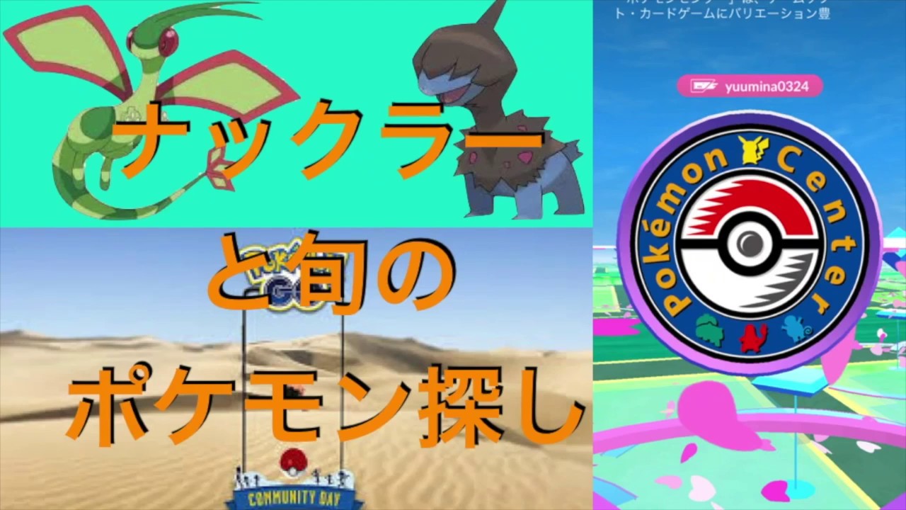 ナックラーと旬な激レアポケモン探し！！そして捕獲へ・・