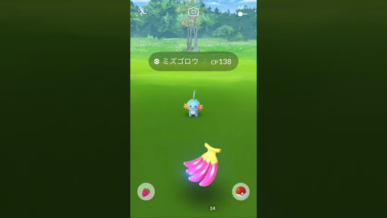 ミズゴロウに餌を与えまくる人【ポケモンGO】
