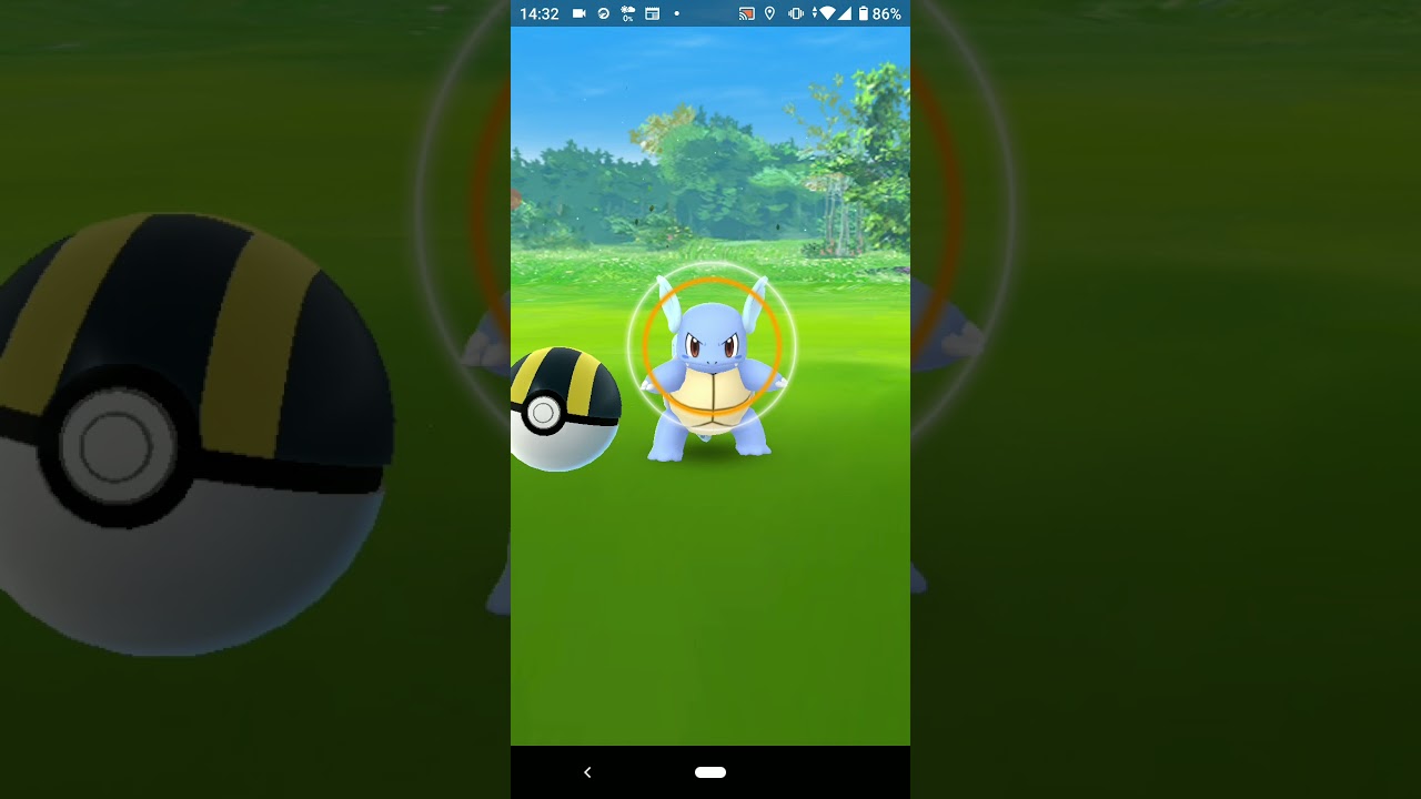 ポケモンGO　カメール