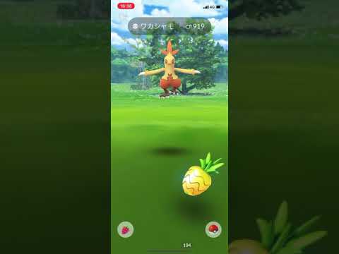 ポケモンgo 野生のワカシャモゲットチャレンジ