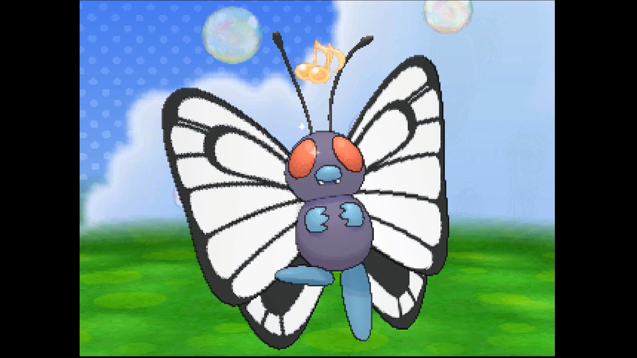 ポケパルレ　バタフリーと戯れるだけの動画
