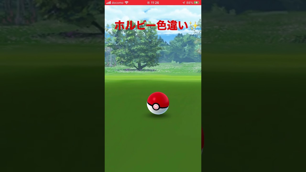 ホルビー 色違い ✨