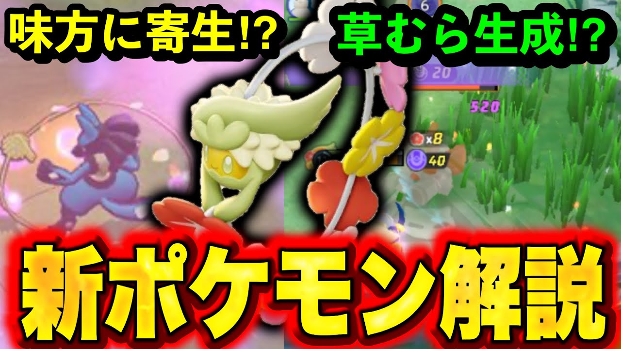 【先行プレイ】キュワワー使ってみた！味方に引っ付いて草むらを作る⁉︎ テストサーバープレイ動画　キュワワー性能解説【ポケモンユナイト】