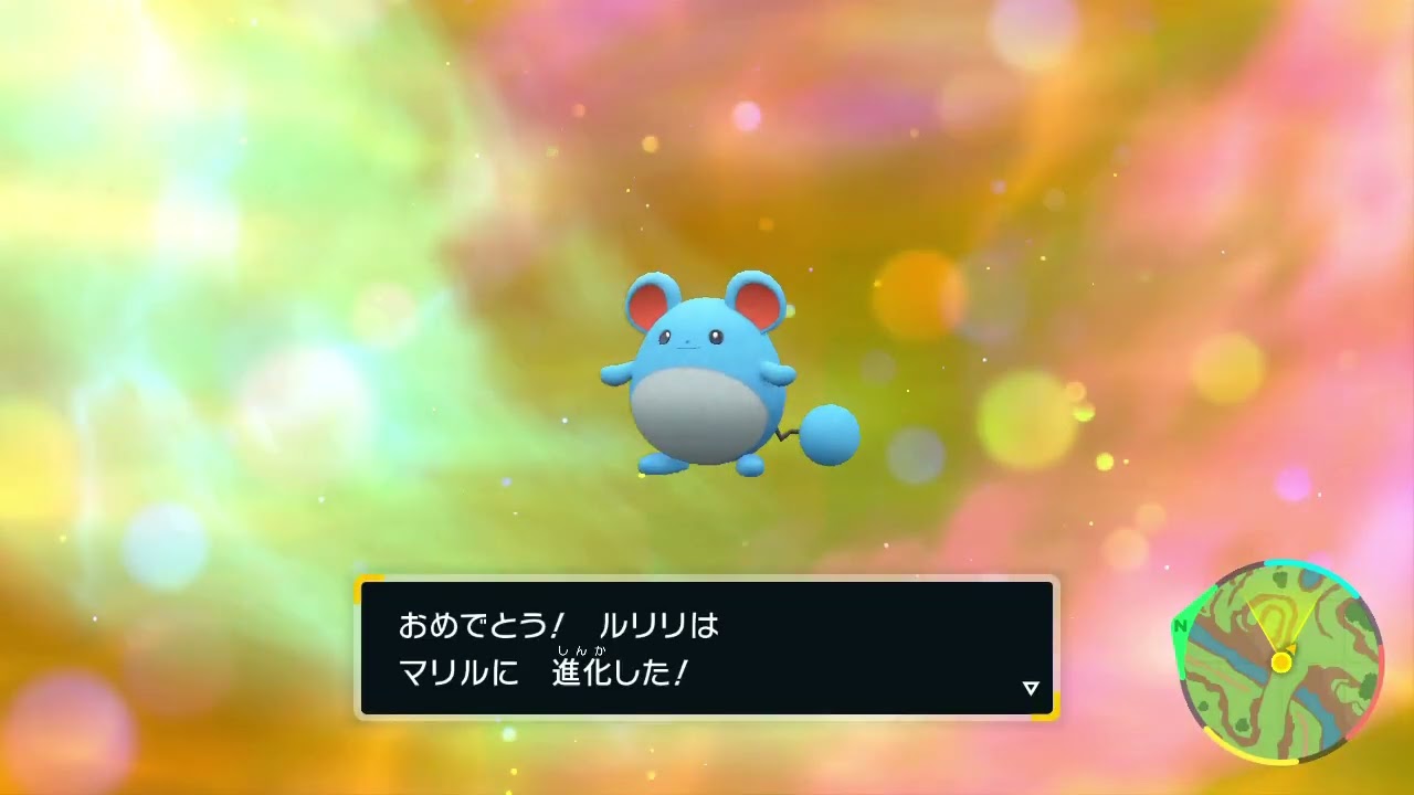 ルリリちゃんがマリルちゃんに進化。可愛すぎる🥰　ポケモンSV  Pokmon SV