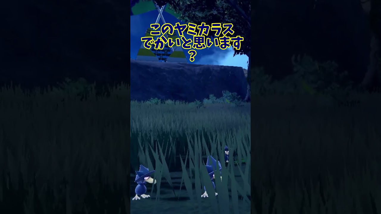 デカくないですか？このヤミカラス。【ポケモンSV】 #shorts