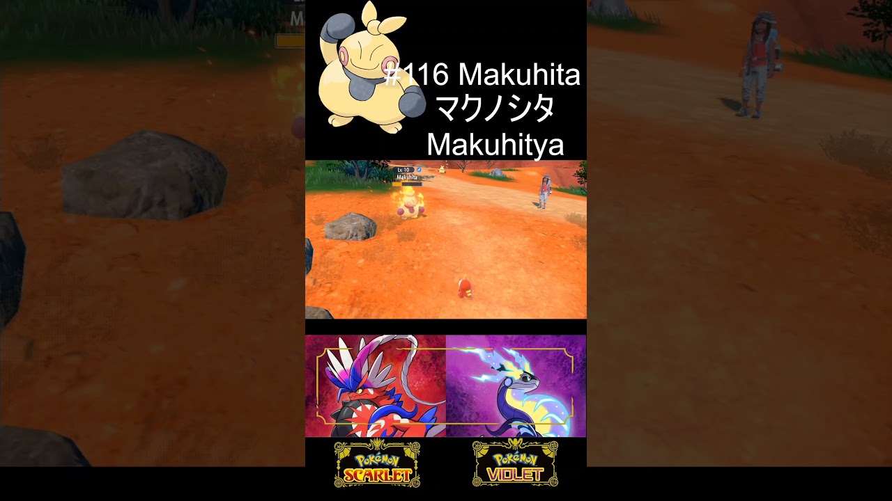 #116 Makuhita マクノシタ - Pokémon Scarlet/Violet