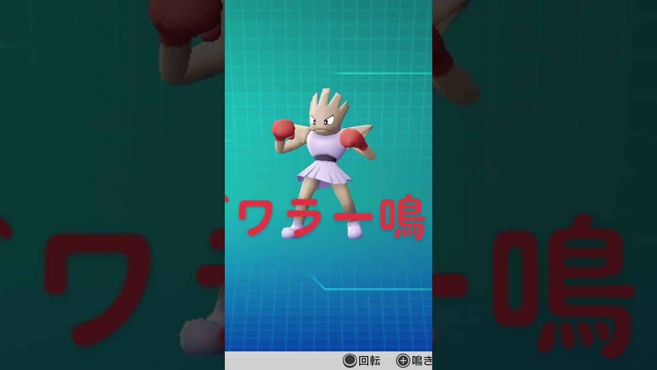 ピカブイ【図鑑NO107】エビワラー鳴き声#ポケモン鳴き声 #図鑑コンプ #レッツゴーピカチュウ #レッツゴーイーブイ#ポケモン生態#エビワラー動き#Hitmonchan