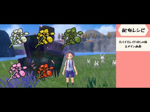 【ポケモンSV】  9時までのんびり色粘り・スパイスパッチレイド探しの旅　海外産A0メタモン配布【レイド配布】