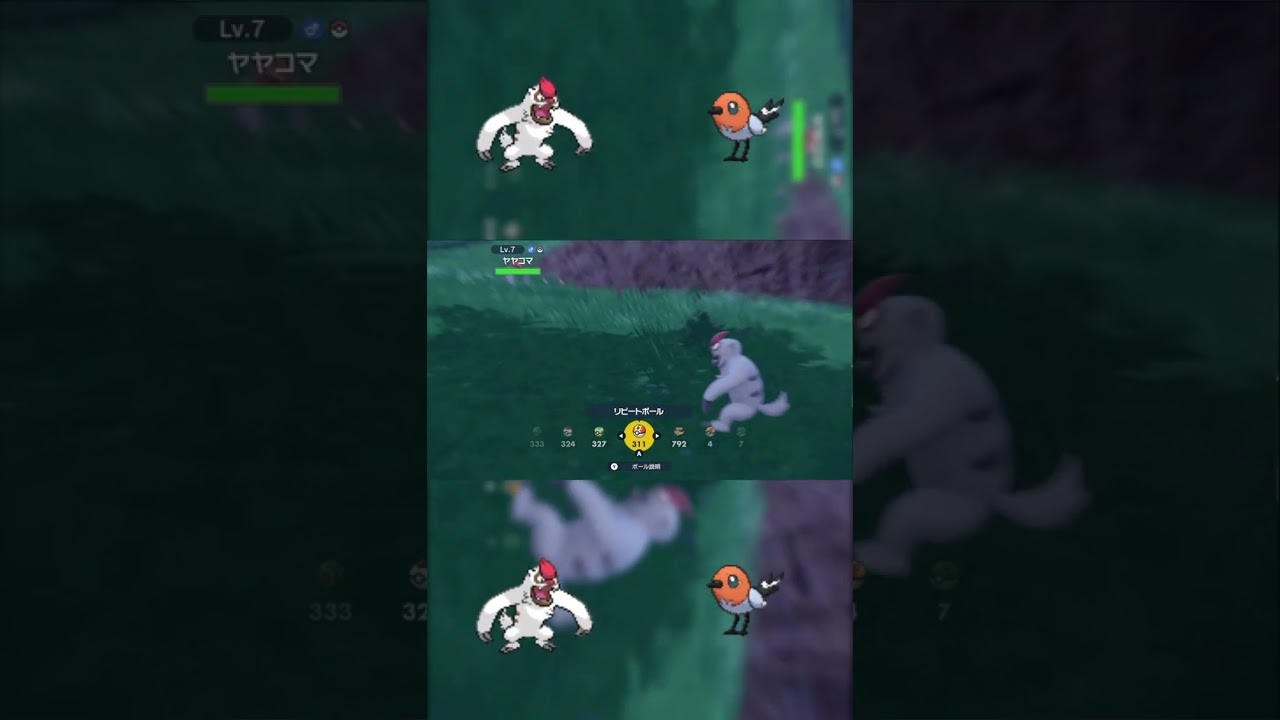 エフェクト出っぱなしのヤヤコマ戦 #shorts　#ポケモンsv