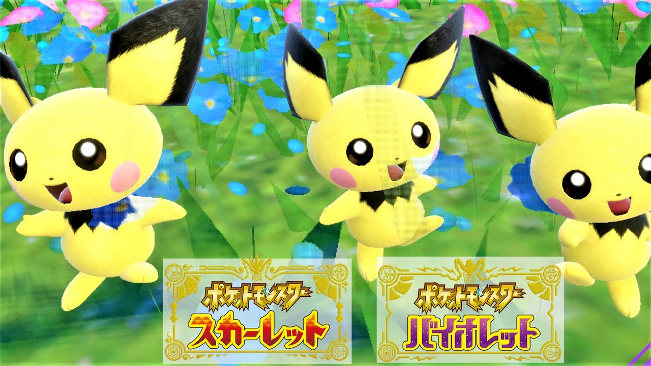 【かわいい】ピチュー６匹に囲まれて癒されピクニック【ポケモンSV】