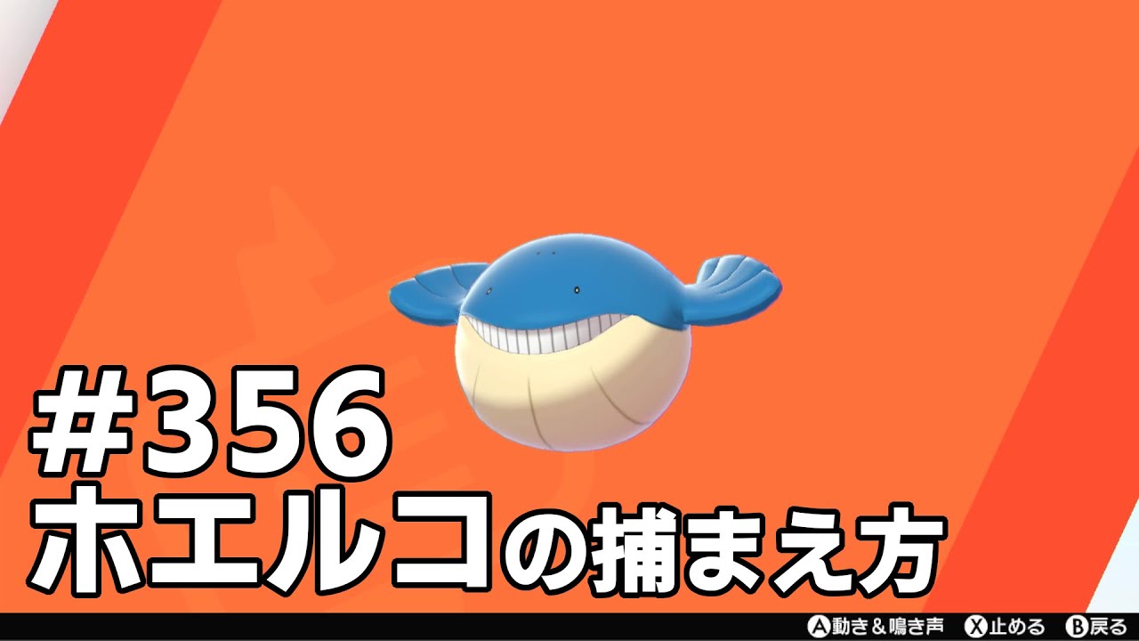 ホエルコを探している方に見てほしい動画