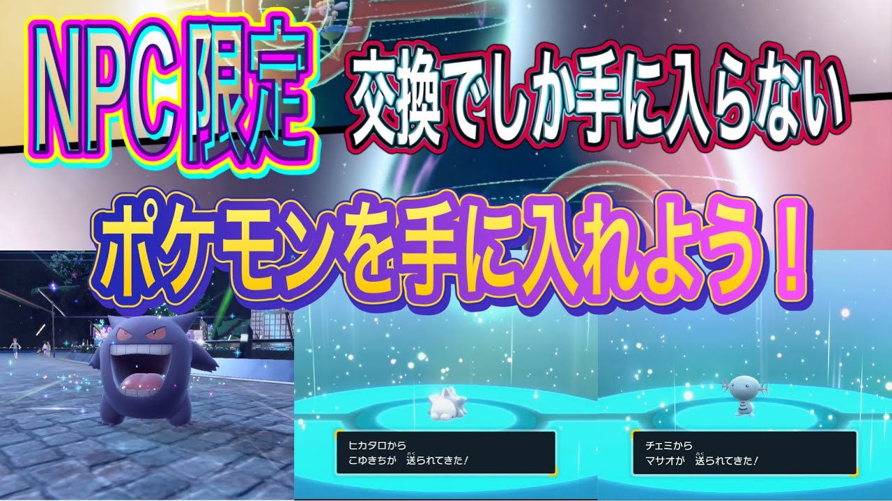 【ポケモンSV】NPC限定ポケモンを手に入れよう！