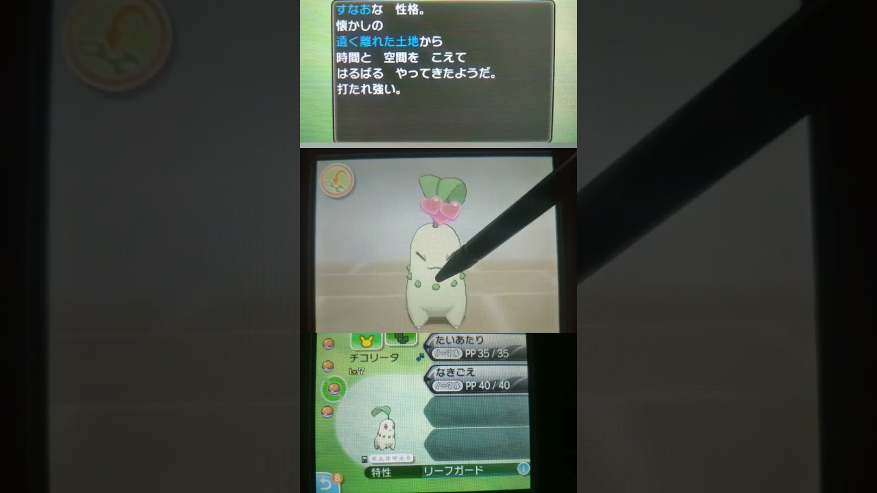ポケリフレ🌿チコリータ🌿【ポケモンSM】