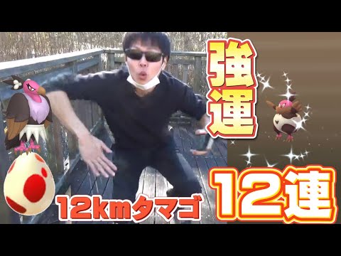 色違いマネネが来る前に12kmタマゴで運試ししたらとんでもないことがおきた【ポケモンGO】