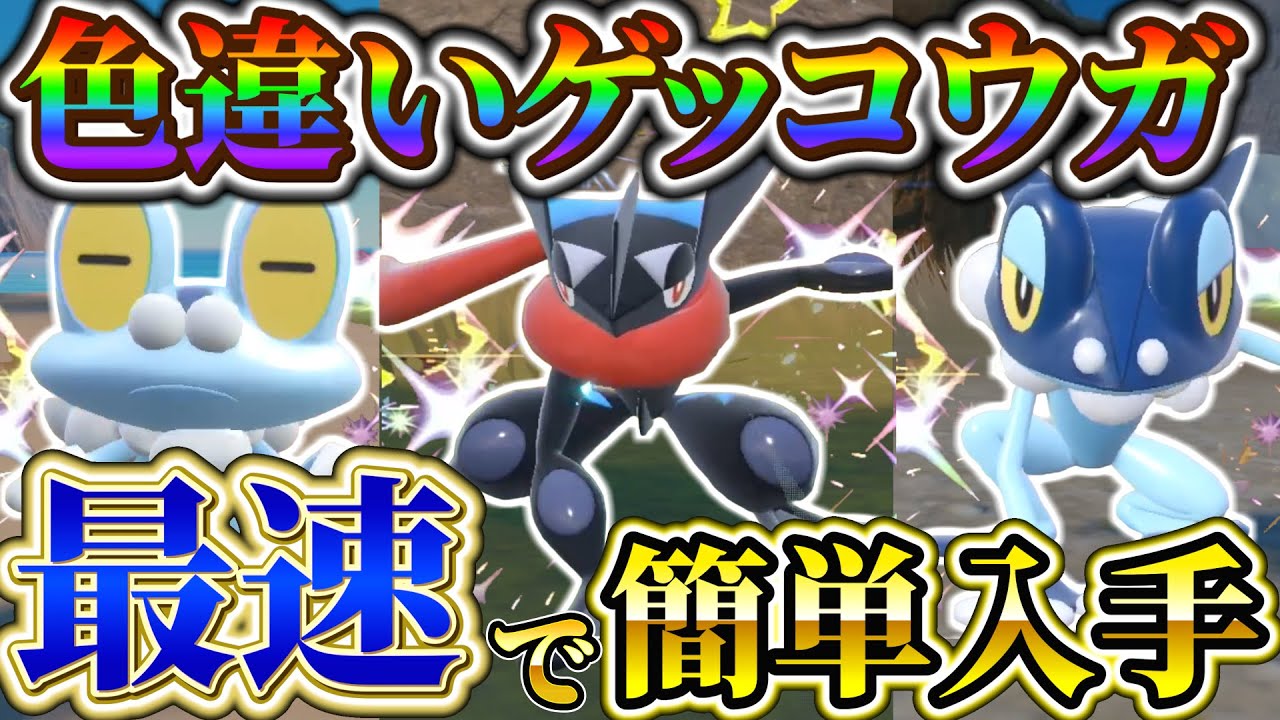 【ゲッコウガ色違い (ポケモンsv色違い厳選)】色違いゲッコウガを誰でも簡単入手!!ケロマツの色違いを最速入手!!(ポケモンスカーレットバイオレット)