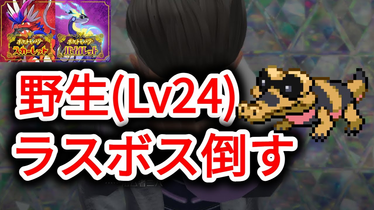 【ポケモンSV】野生のメグロコLv24でラスボスを倒せるのか？！【つけあがる】