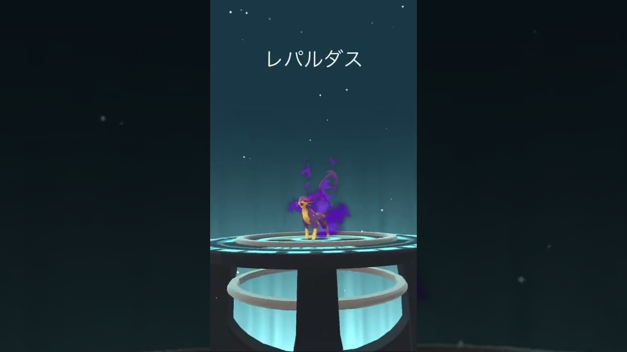 シャドウポケモン　チョロネコの進化✨