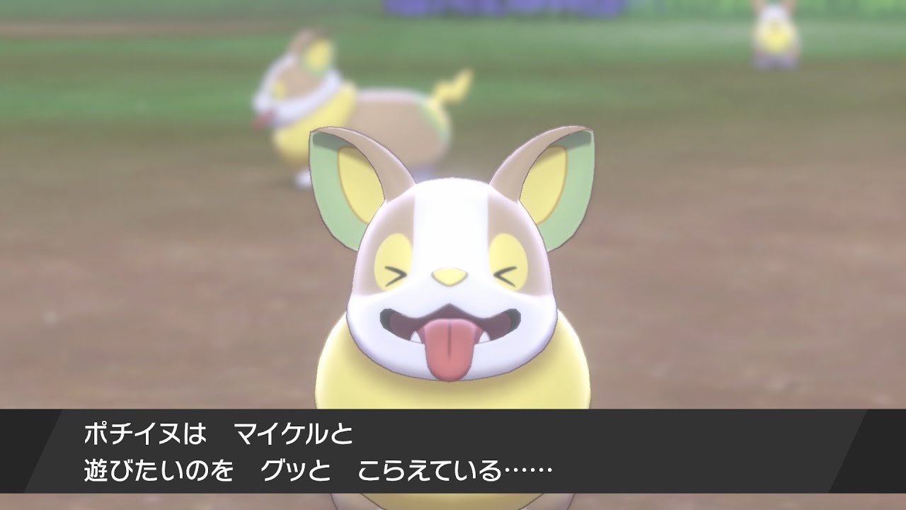 【ポケモン盾】ついにワンパチが進化する…？