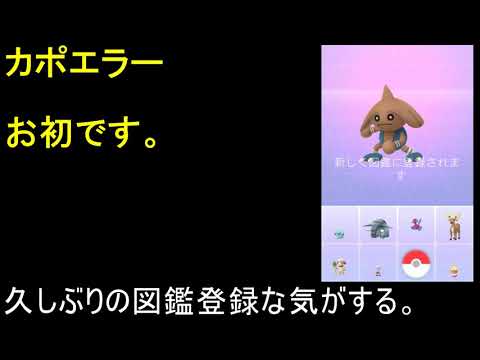 カポエラー【ポケモンGO】