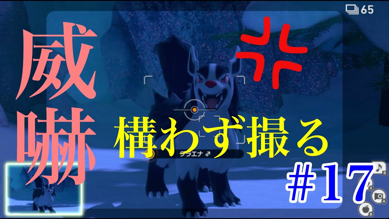 グラエナにびびるな！雪原の夜に初潜入！… - #17【ポケモンスナップ】