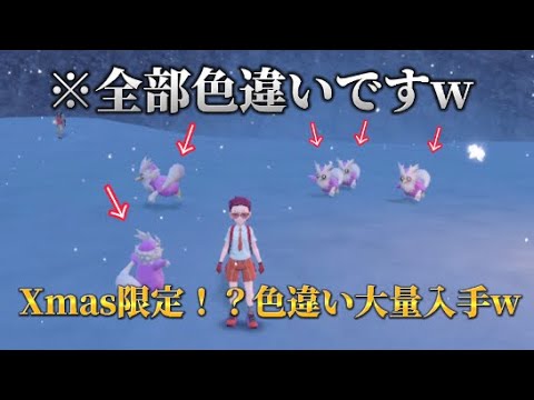Xmasだけ特別！？大量にデリバードの色違い入手できるw【ポケモンSV】