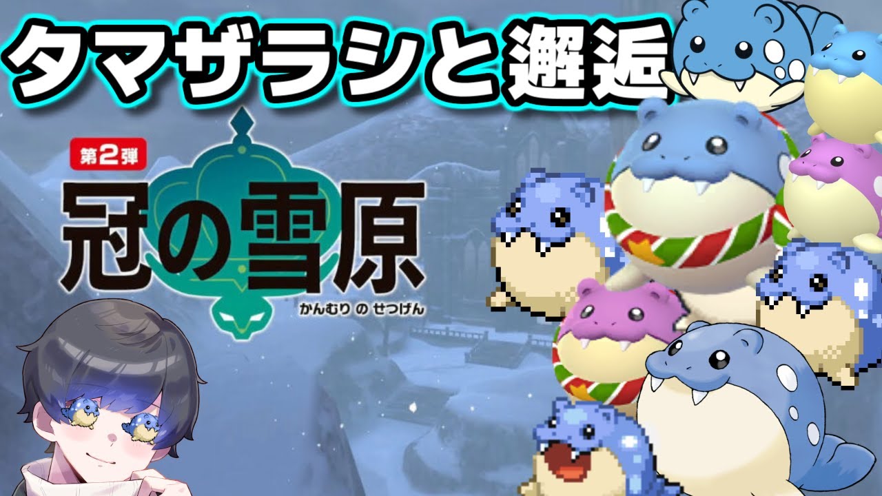 【ポケモン剣盾】冠の雪原でタマザラシに出会いに行く!!!!!!!!