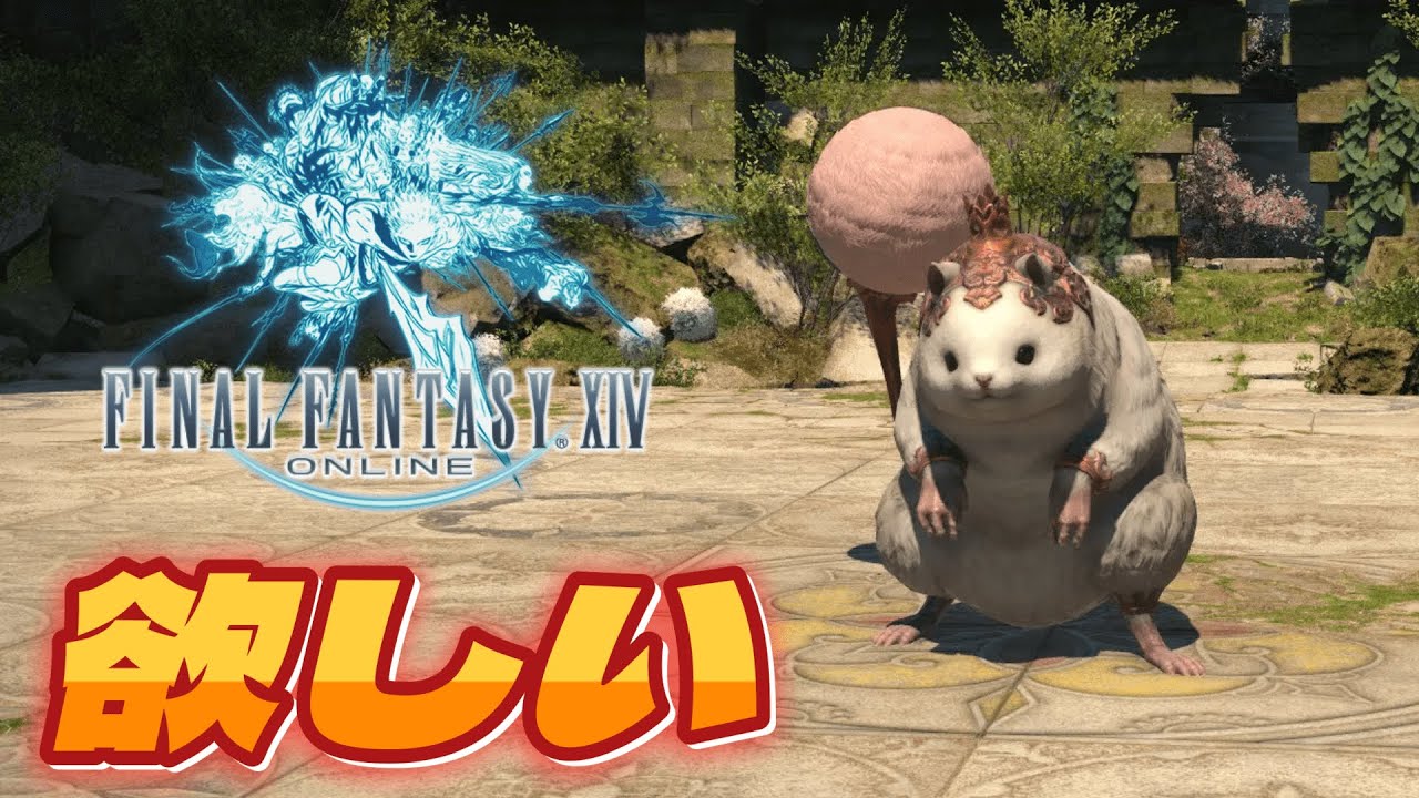 【FF14/Gaia ライブ配信】ハムスターください。シラディハ。いろんな人と繋がりたい初心者成長日記 ※ネタバレ注意【ファイナルファンタジー14】