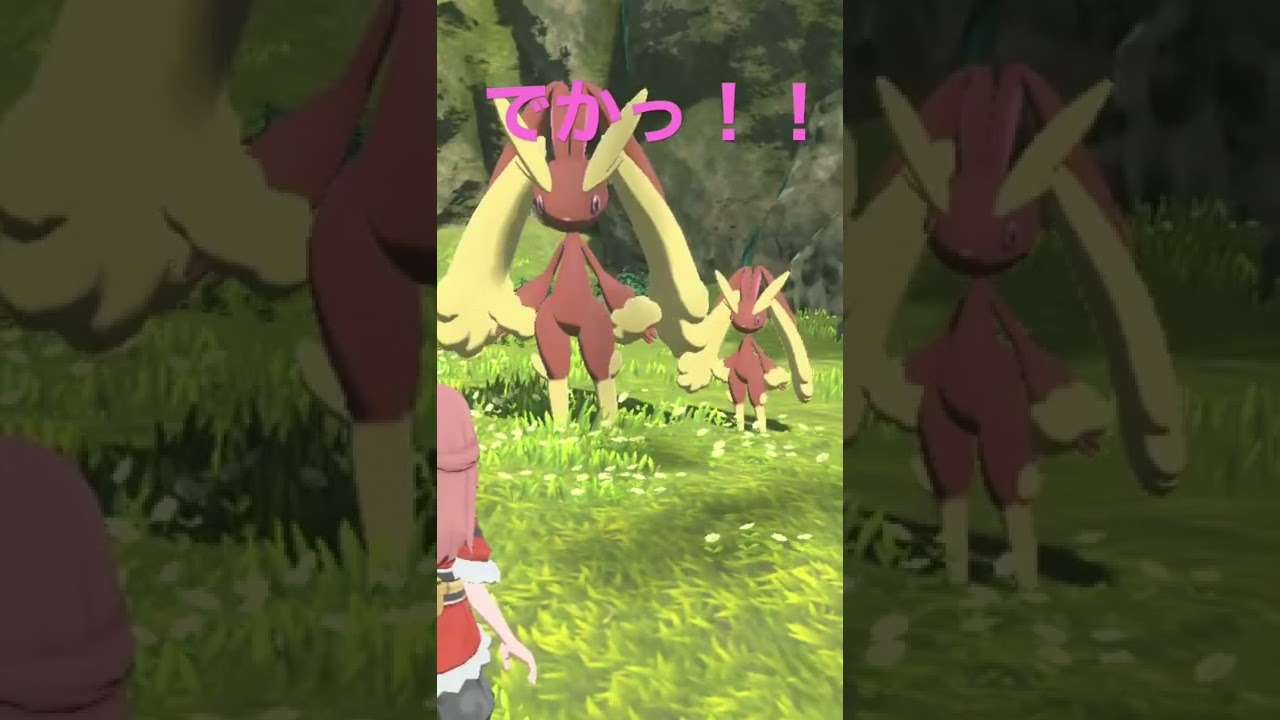 【アルセウス】ミミロップのオヤブンと通常サイズ比較してみた結果！！