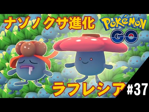 【ポケモンGO】ナゾノクサからクサイハナ進化でラフレシア
