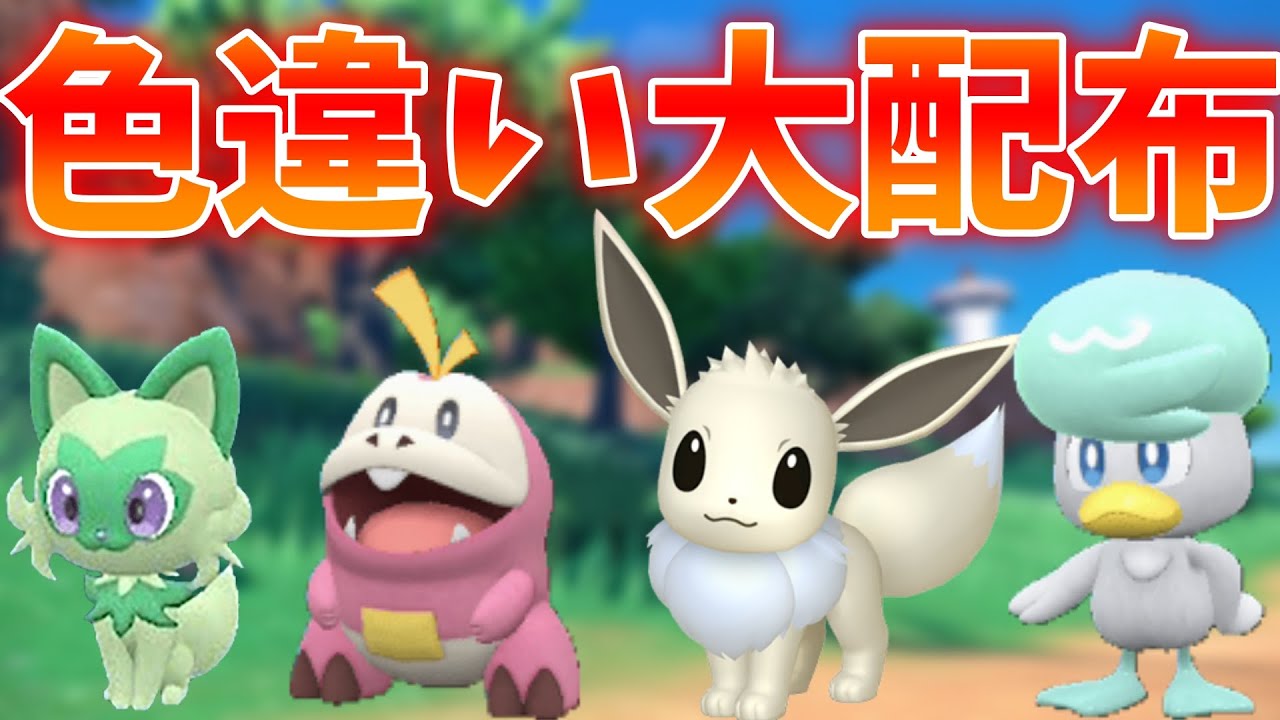 【ポケモンSV】オシャボ入り色違いイーブイ&色違い御三家配布するぞ！