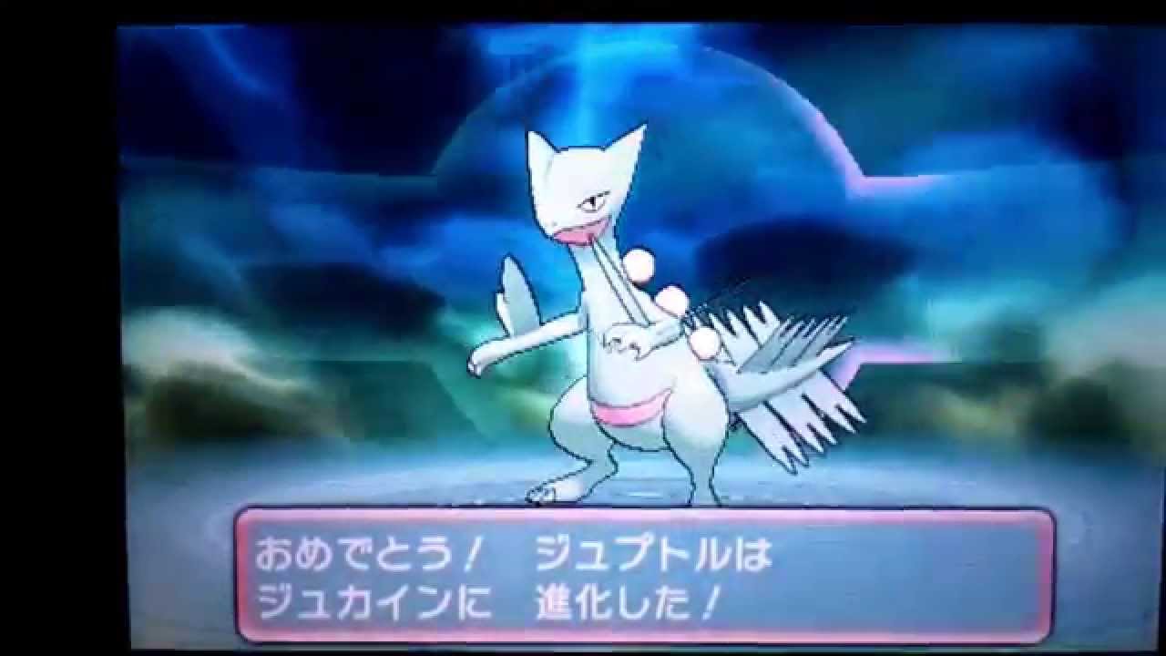 【ポケモンΩルビー】ジュプトル進化♪