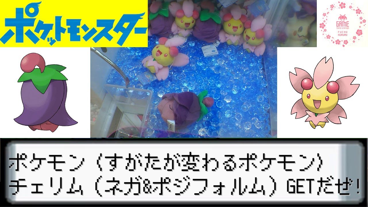[UFOキャッチャー]ポケモンフォーカス 〈すがたが変わるポケモン〉 ぬいぐるみ～チェリム（ネガフォルム）・チェリム（ポジフォルム）～
