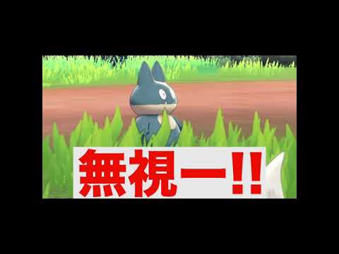 #Shorts ゴンベちゃんの華麗なる無視