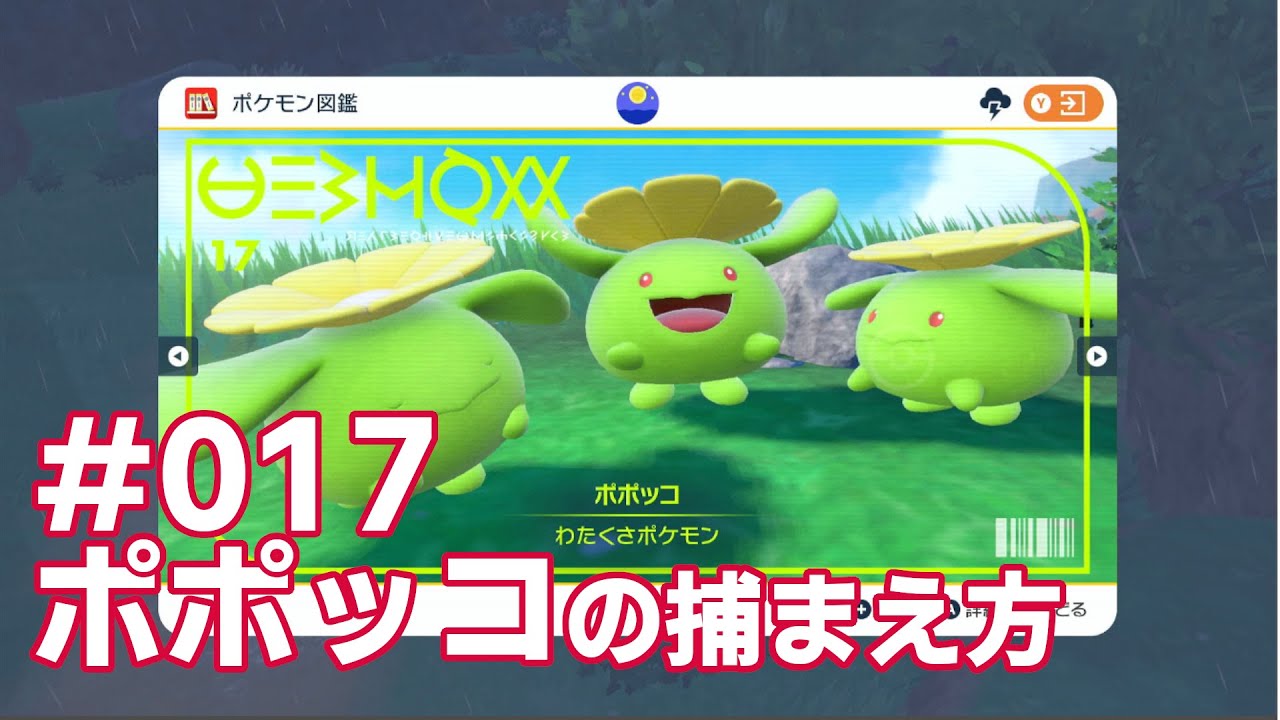 ポポッコを探している方に見てほしい動画