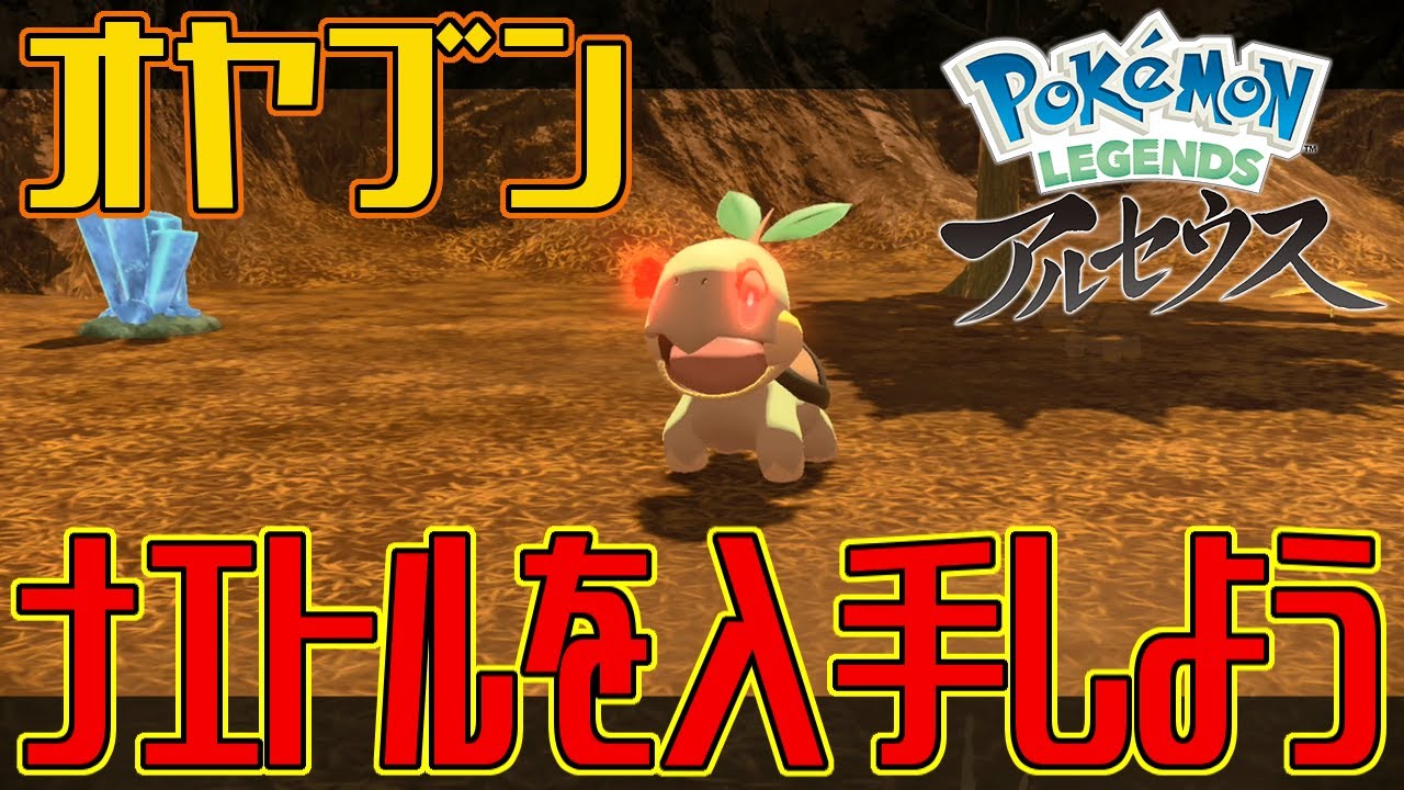 【ポケモンアルセウス】オヤブンのナエトルを入手しよう【Pokémon LEGENDS アルセウス】