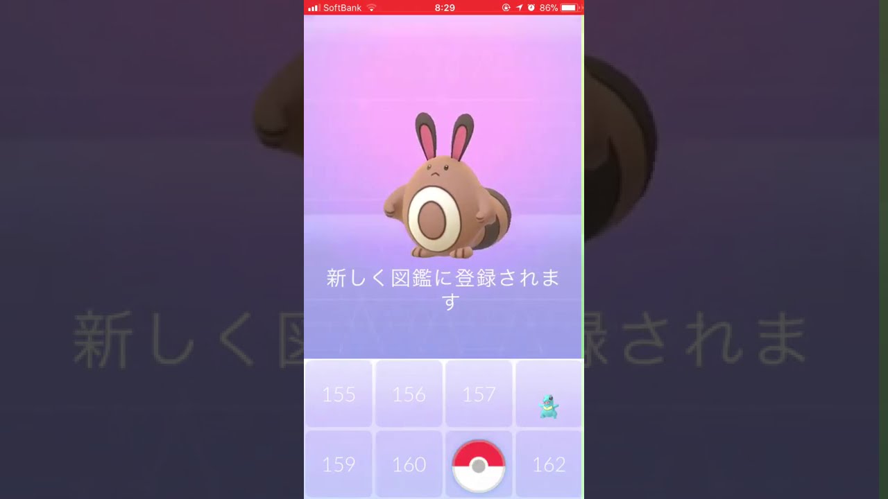 ポケモンGO初ゲット〜オタチ