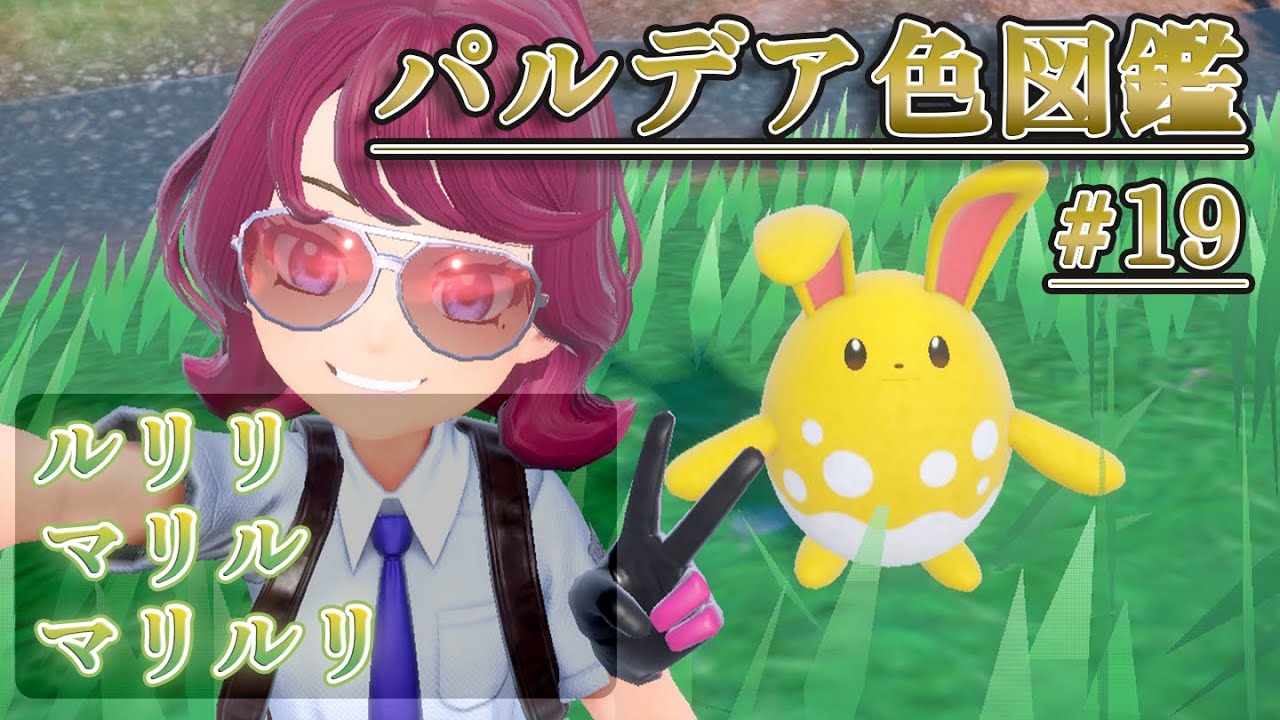 【パルデア色図鑑】全ポケモンを色違いにする旅 / ルリリ・マリル・マリルリ編【ポケモンSV】