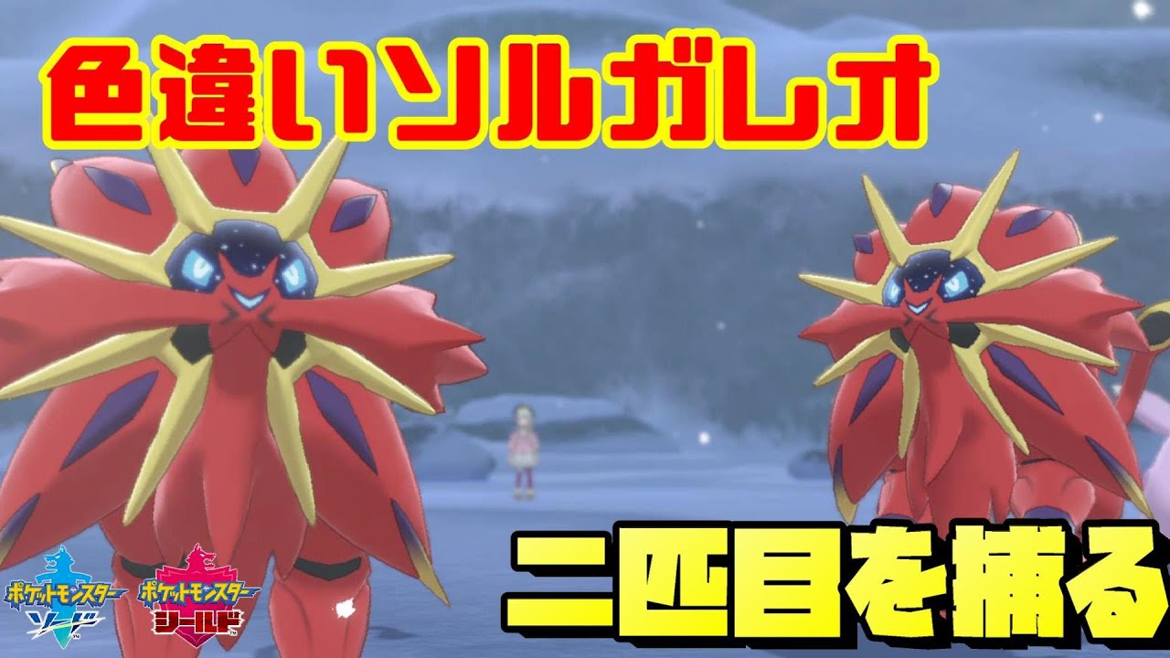 【字幕動画】色違いソルガレオに1か月費やしてしまうやつ【ポケモン剣盾】