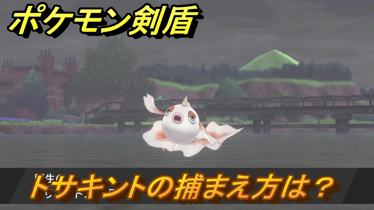 ポケモン剣盾　トサキントの出現場所は？オススメの場所は？天気は？ポケモン図鑑コンプへの道！　最新版【ポケモンソード・シールド】