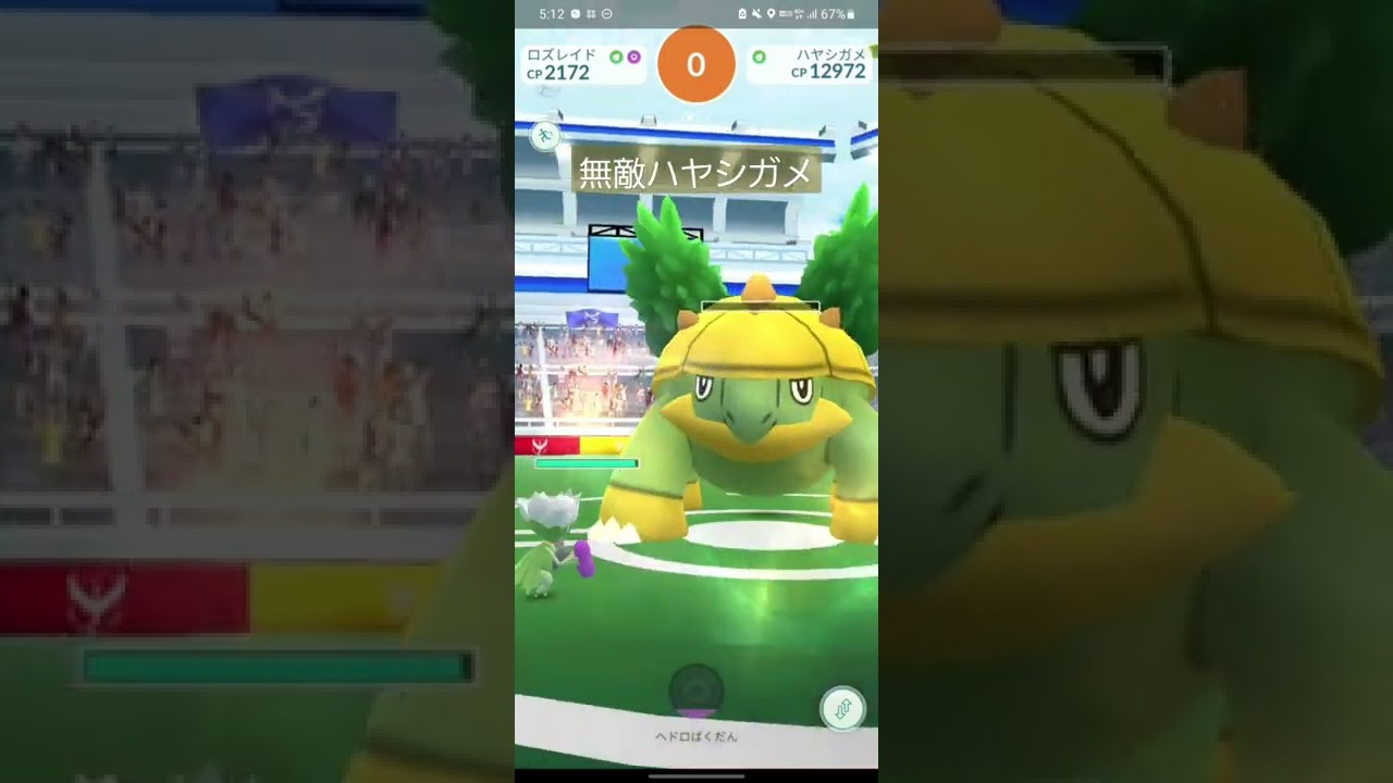 無敵ハヤシガメ。