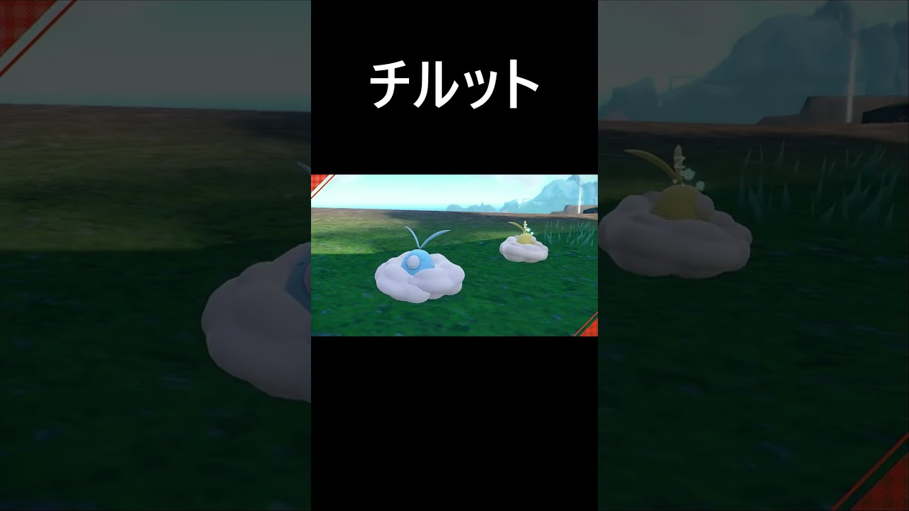 色違いチルット【ポケモンｓｖ／スカーレット】　#Shorts