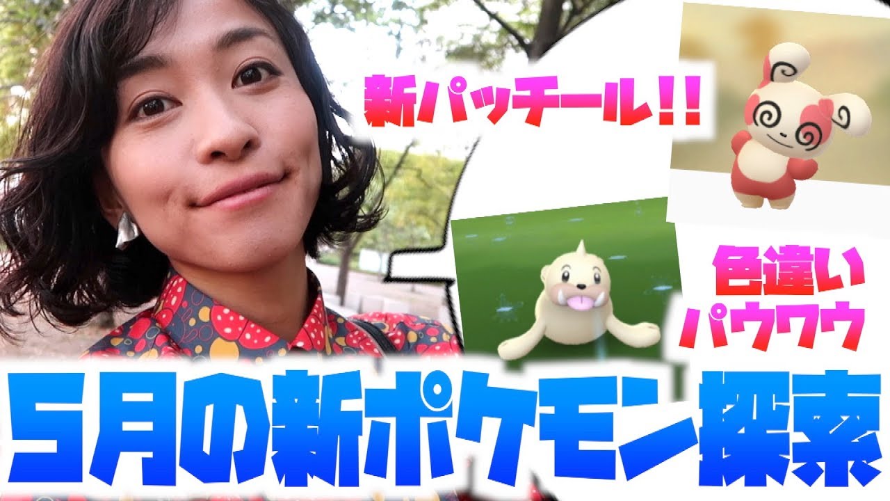 色違いパウワウに新たなパッチール登場!早速ポケ活してみた！！【ポケモンGO】