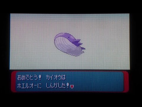 【ポケモンサファイア色違い縛り】ホエルオーに進化